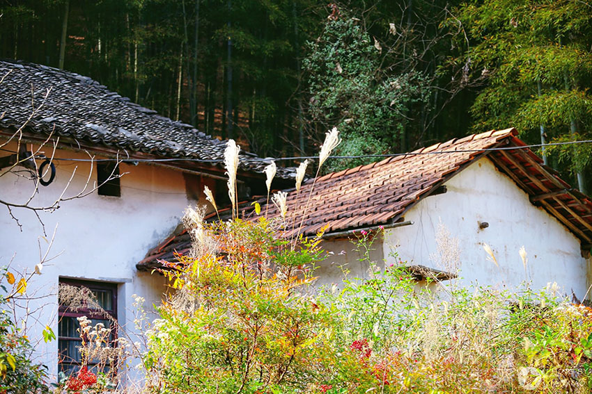 淘屋网,安吉农屋,安吉宅基地,安吉民宿