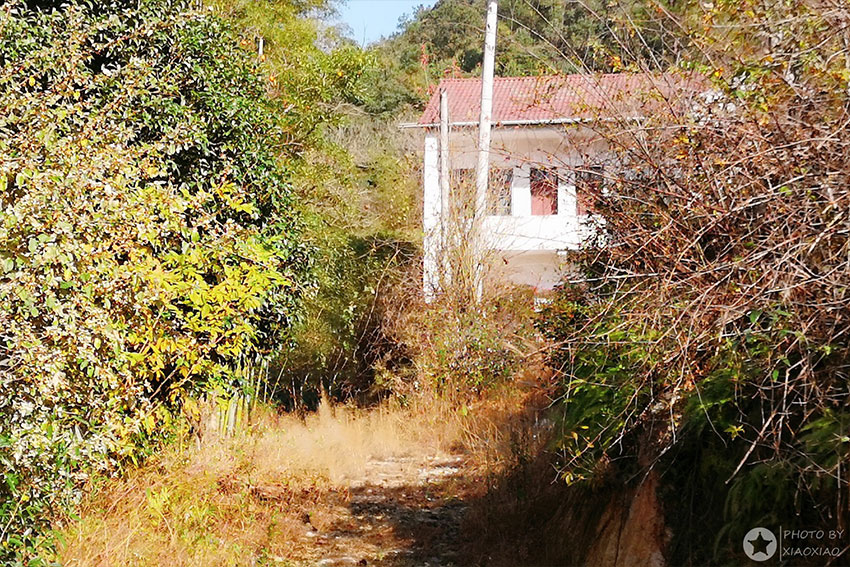 淘屋网,安吉农屋,安吉宅基地,安吉民宿