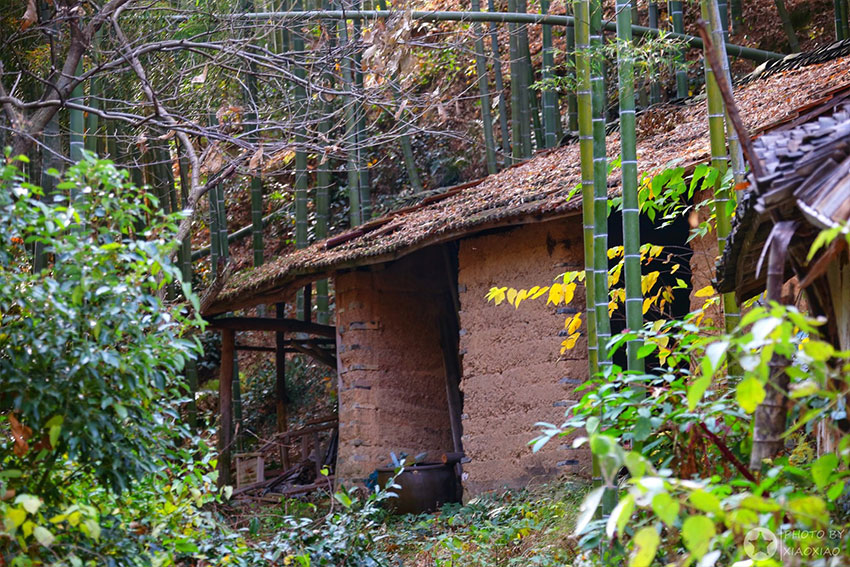 淘屋网,安吉农屋,安吉宅基地,安吉民宿