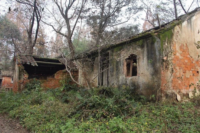 淘屋网,安吉农屋,安吉宅基地,安吉民宿
