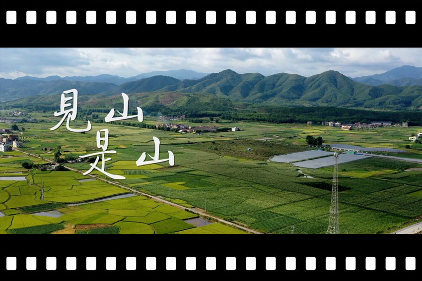 淘屋网,民宿故事