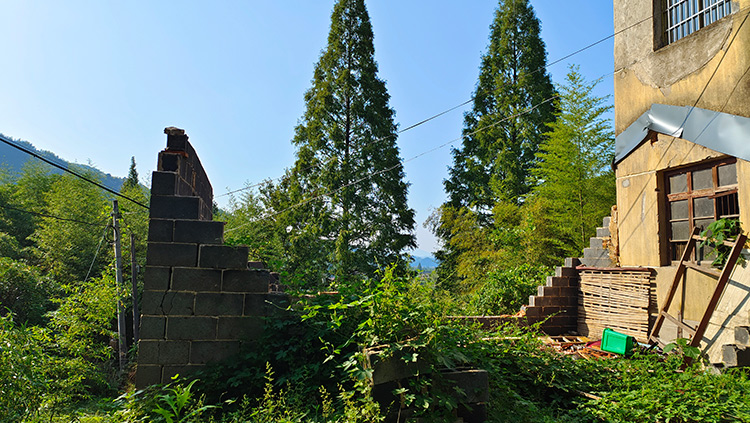 淘屋网,安吉农屋,安吉宅基地