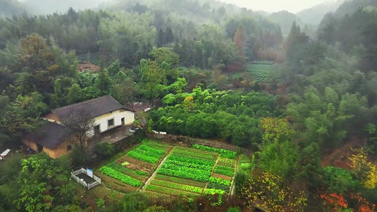 淘屋网,安吉农屋,安吉宅基地